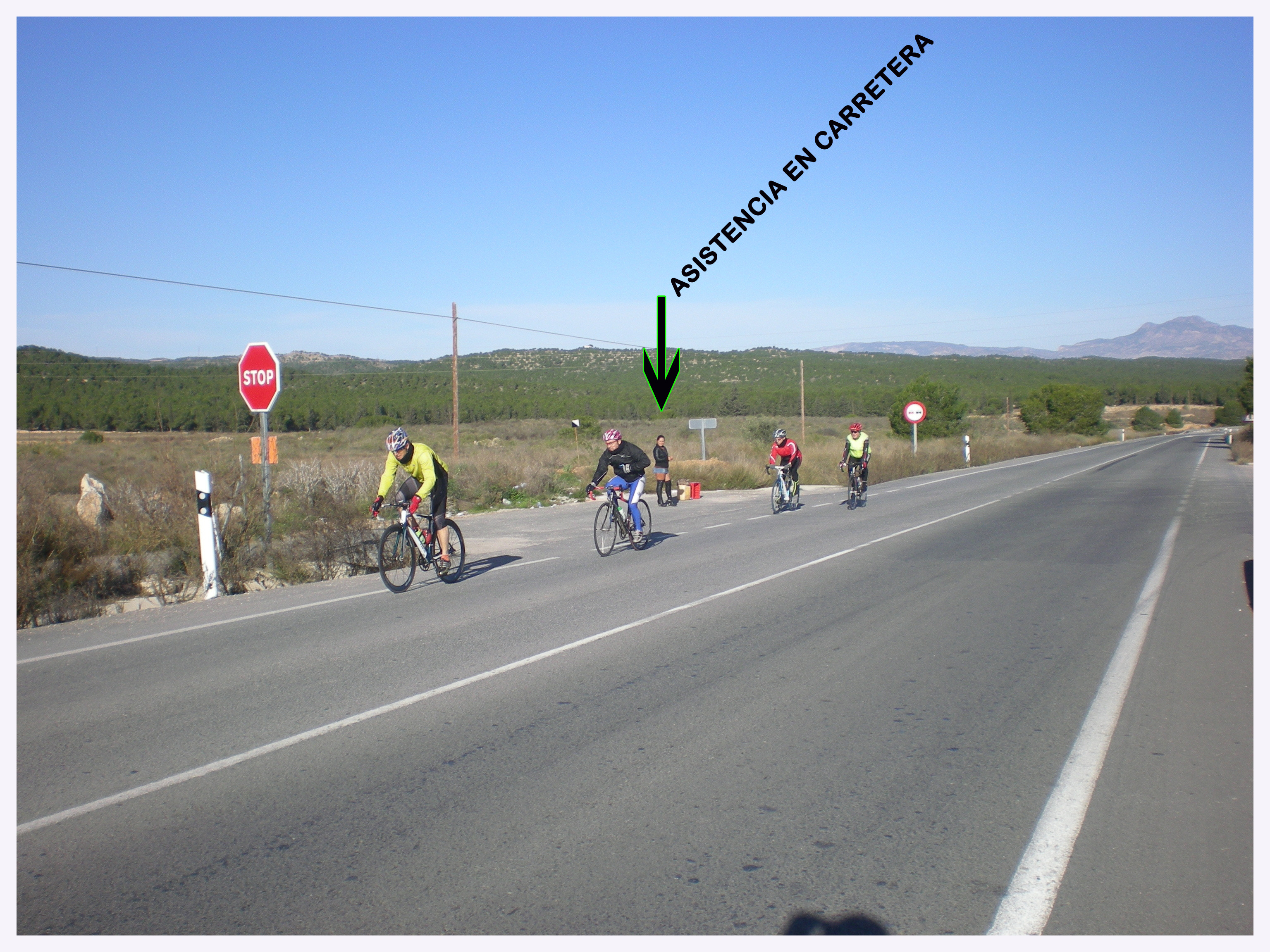 Club ciclista Albatera copia